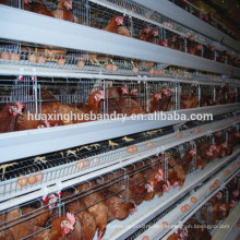 Professionelle Hersteller-Design Eine Art Schicht Hühnerkäfig-System zum Verkauf